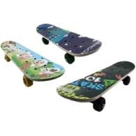 Complete Solid Wood Standard And Tricks Skateboards (skateboard_mini_17_random) - Random